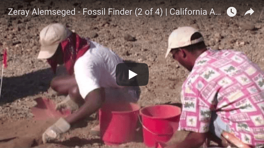 I. Fossil Finder / California Academy of Sciences: #2 Harsh Working Conditions in Dikika, Ethiopia