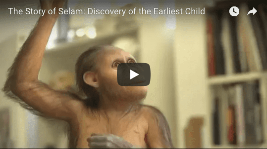 B. The Story of Selam: the Discovery of the Earliest Child