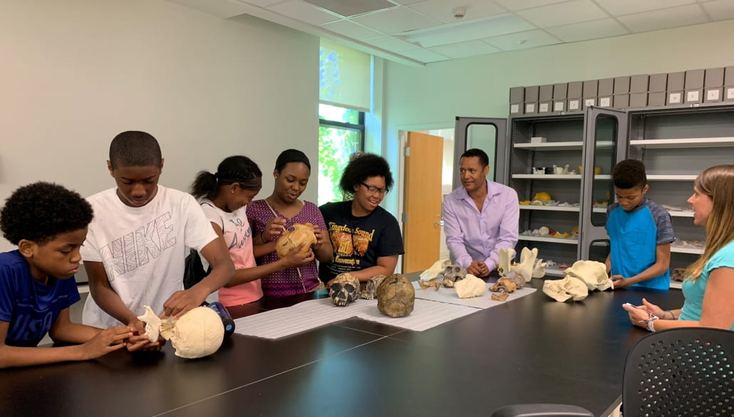 PaleoLab students examine casts of hominin fossils