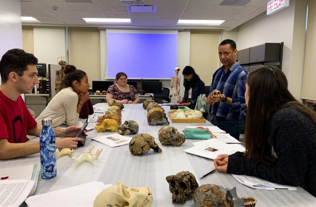 Human Origins Class in the Lab