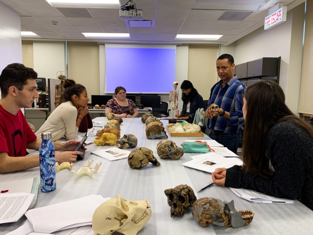 Human origins class meets in the lab